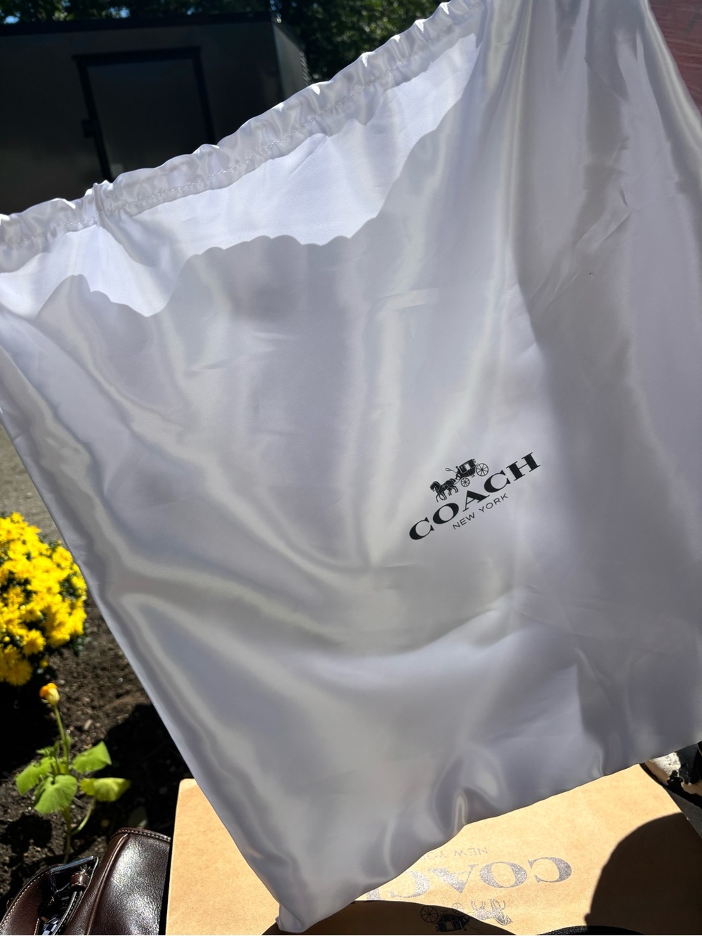 Coach xlrg silk dust bag. Free paper carry bag included